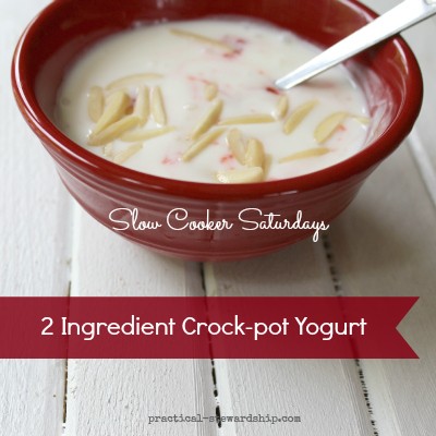 Crock-pot-Yogurt