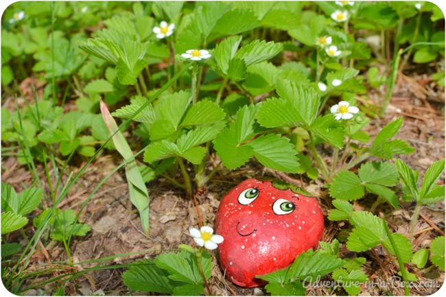 How-to-Make-Garden-Markers-by-Painting-Rocks-12