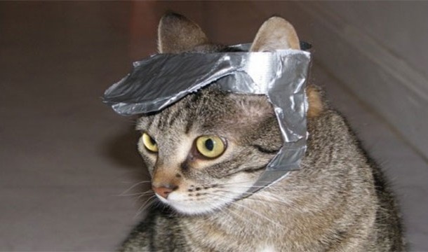 duct tape cat visor