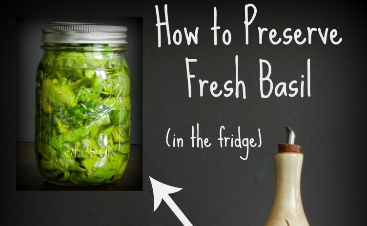 how-to-preserve-fresh-basil-in-the-fridge-for-a-year-or-more-wise-diy