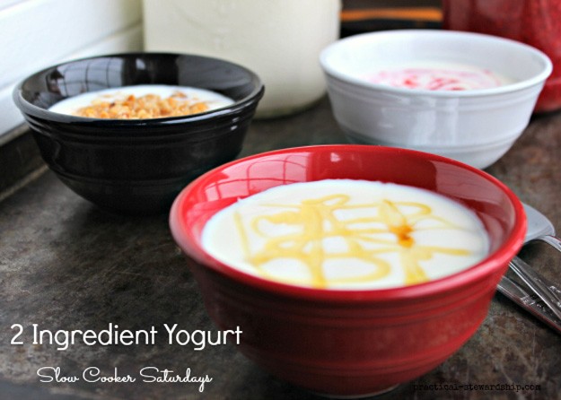 2-Ingredient-Yogurt