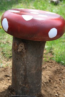 mushroom6