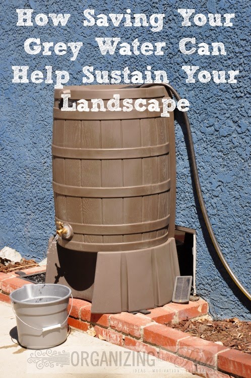 Saving Grey Water Rain Barrel