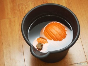 670px-Keep-Halloween-Pumpkins-from-Molding-Step-5-Version-2