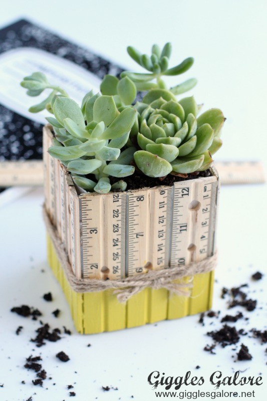 Succulent-Ruler-Planter