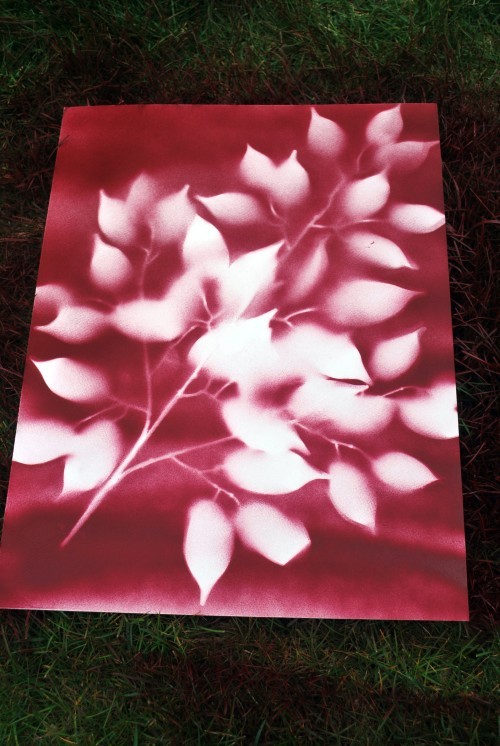 spray-paint-leaves-500x746