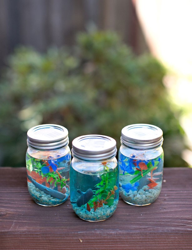 3-mason-jar-aquarium