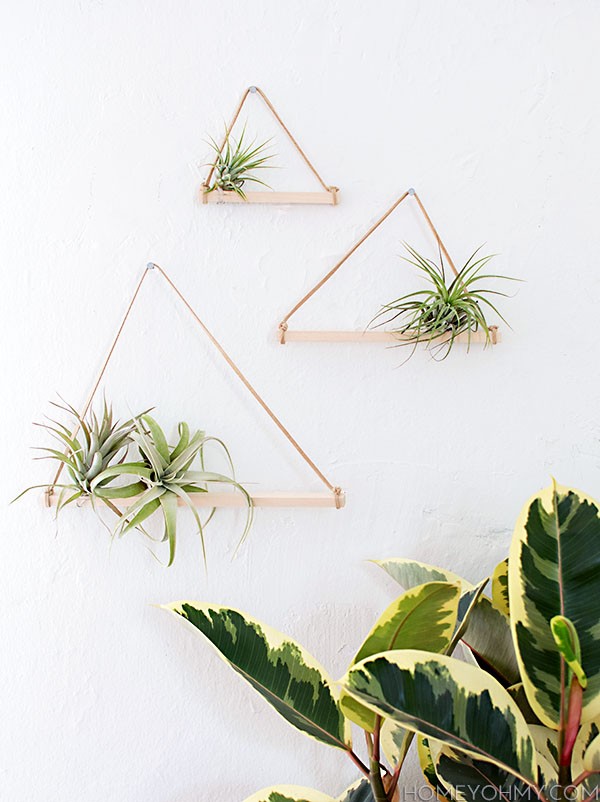 air-plant-hangers-diy2